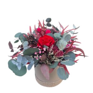 CAJA PRESERVADA PAMIS