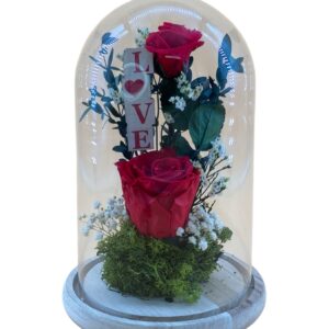 PRESERVED DOME DENIA RED